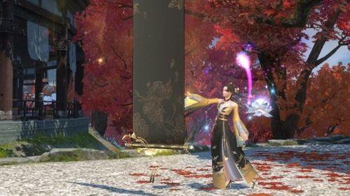 天龙主播爆料视频,揭秘幕后精彩瞬间 第3张 天龙主播爆料视频,揭秘幕后精彩瞬间 第3张