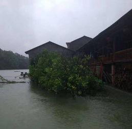 网友爆料山洪视频,视频记录大自然无情瞬间 第2张 网友爆料山洪视频,视频记录大自然无情瞬间 第2张